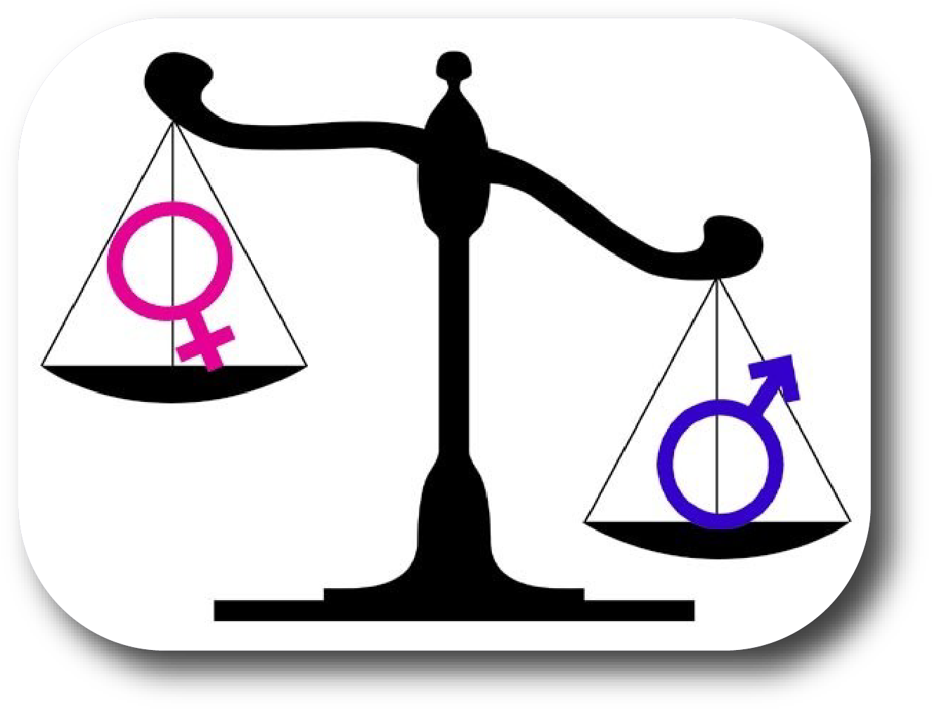 Gender & Diversity Workshop At 1st Annual Meeting, - Gender Equality In Pakistan (1433x1108)