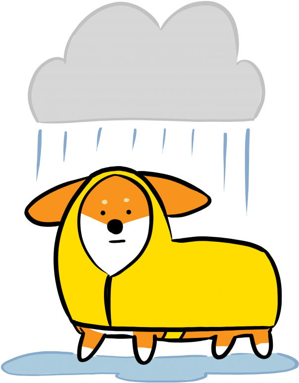 Corgi Clipart Transparent - Pembroke Welsh Corgi (703x800)