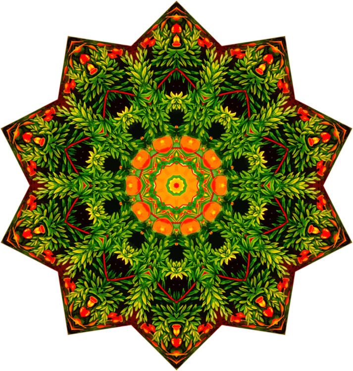 Cafepress Vintage Douchegordijn Symmetry Canvas Flower - Vintage Plants Decorative Nature Pillow Case (713x750)