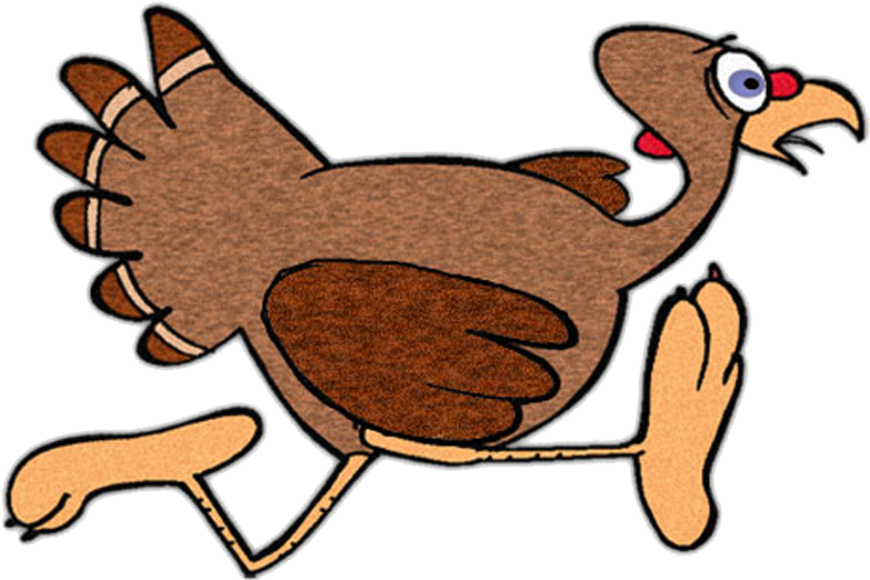 Before Gathering Around The Dinner Table With Family - Animated Running Turkey Gif (800x535)