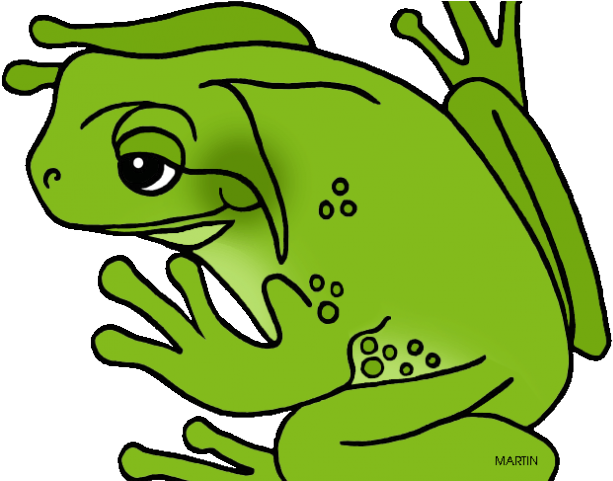 Amphibian Clipart Real Frog - Green Frog Clipart (640x480)
