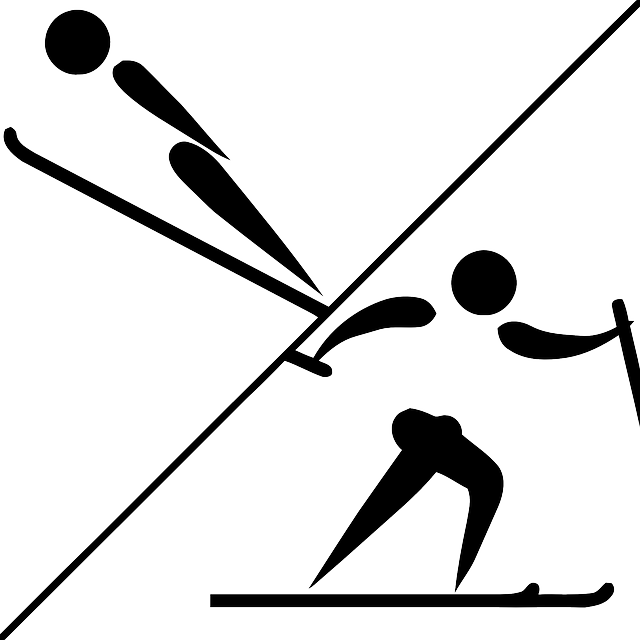 Free Download Cross-country Skiing Clipart Winter Olympic - Nordic Combined Winter Olympics (640x640)