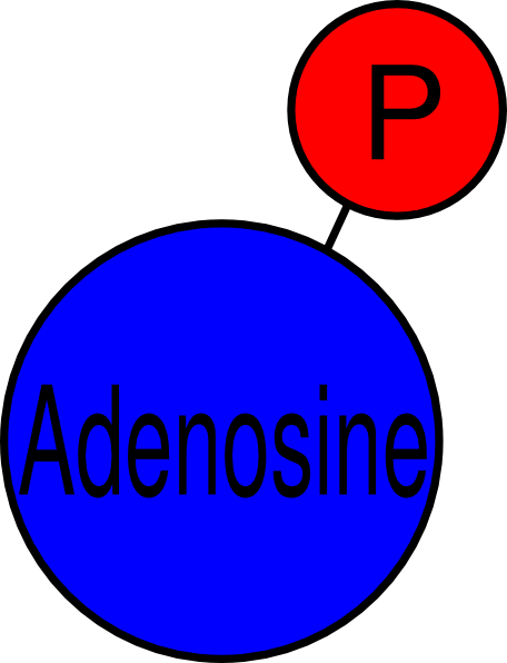 Free Clip Art Amp Images Millions Of Royalty Free Images - Clip Art (456x596)