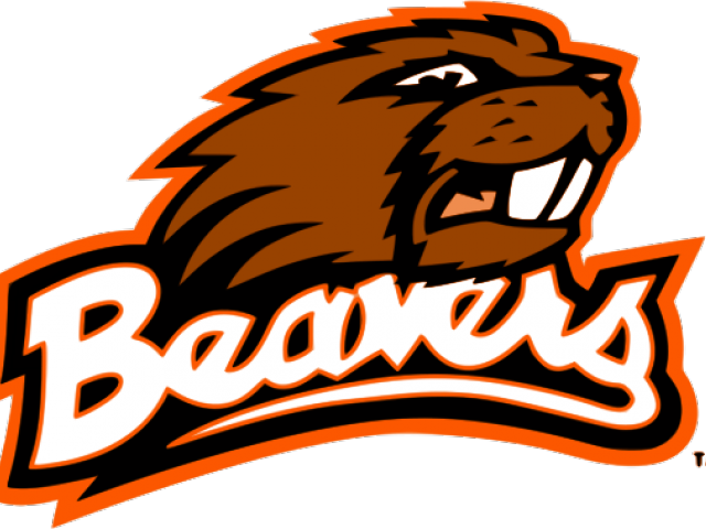 Chainsaw Clipart Beaver - Oregon State Beavers (640x480)