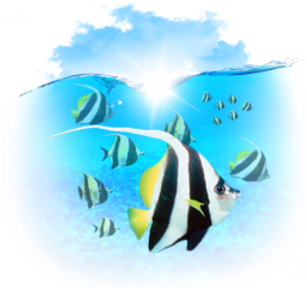 Marine Biology Clipart Computer Icons Clip Art - Coral Reef Fish (600x600)