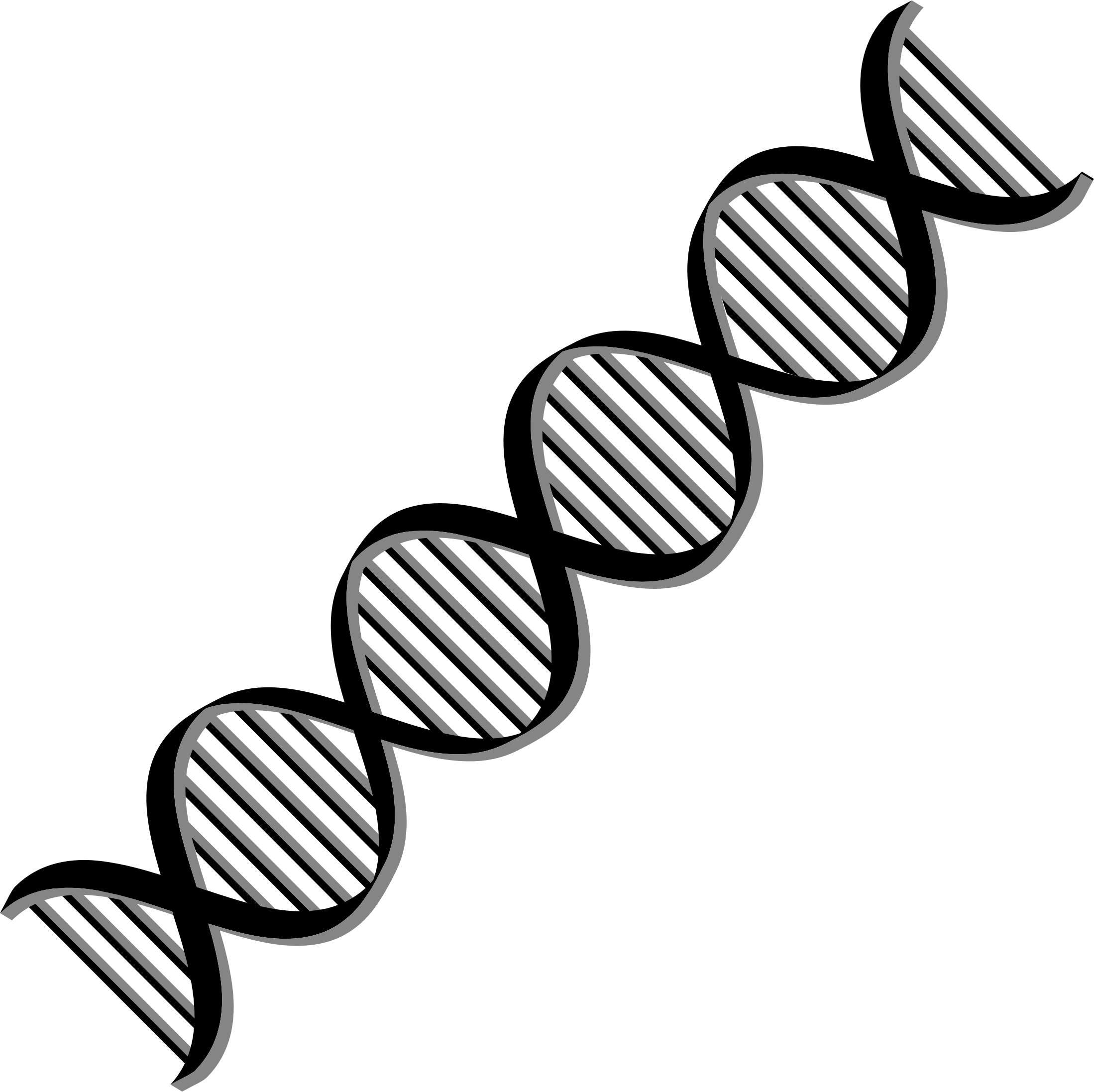 Transparent Black And White Dna Clipart - Dna Helix Black And White (2198x2194)