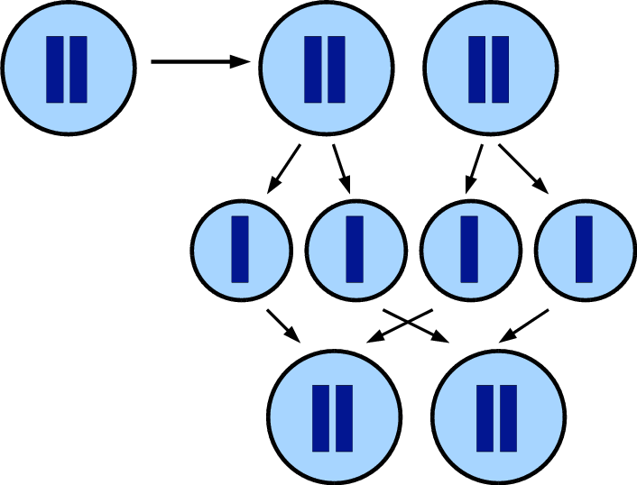 Illustration Of The Self Fertilization Reproduction - Illustration (706x538)