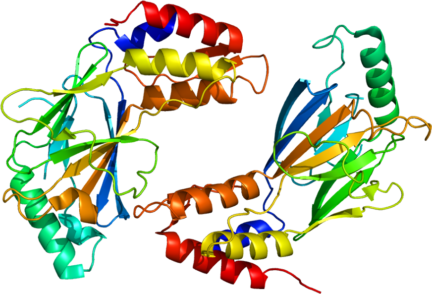 Protein Irf3 Pdb 1j2f - Janus Kinase Inhibitor (921x642)