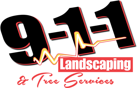 Pathways - Gobernacion Del Estado Sucre (500x336)