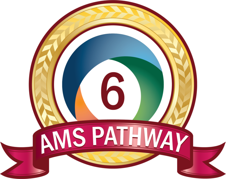 The American Montessori Society's Pathway Of Continuous - American Montessori Society (731x578)