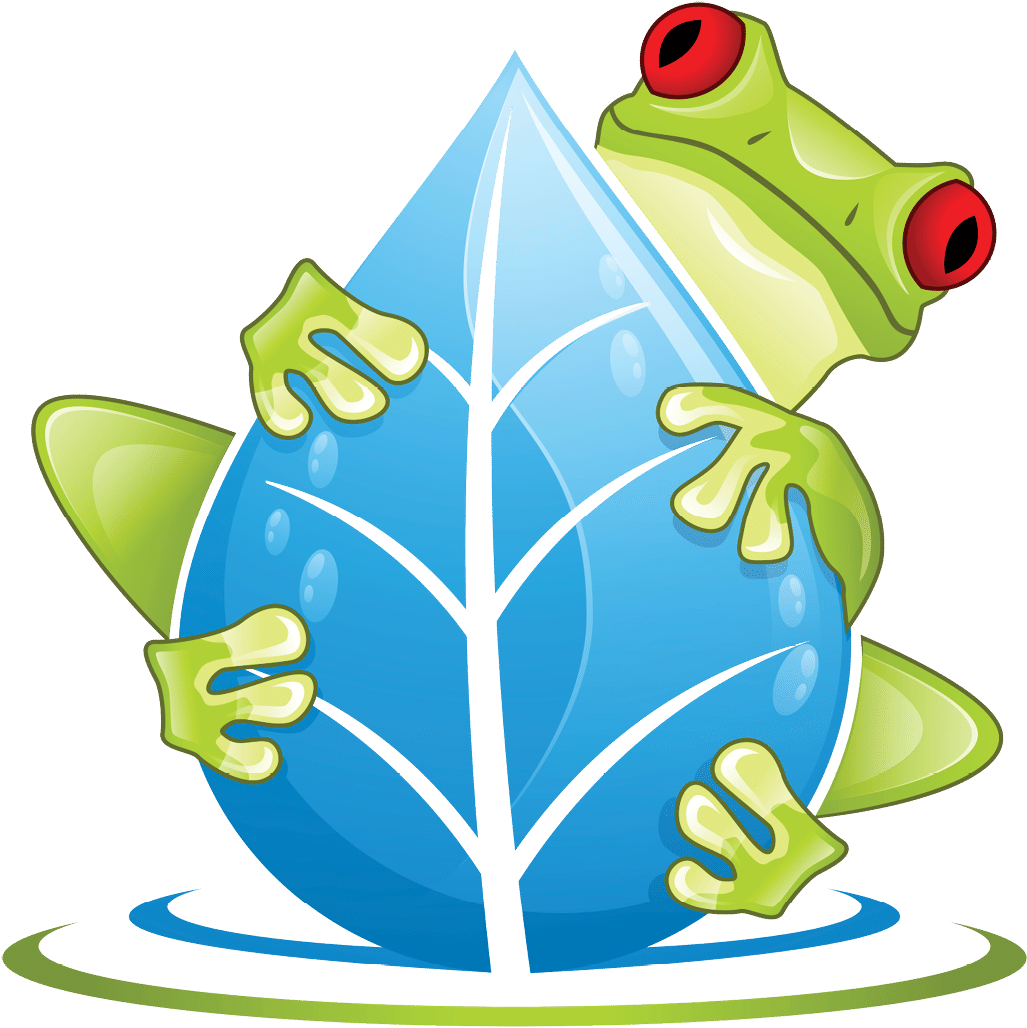Frog Falling Down Png (1067x1067)
