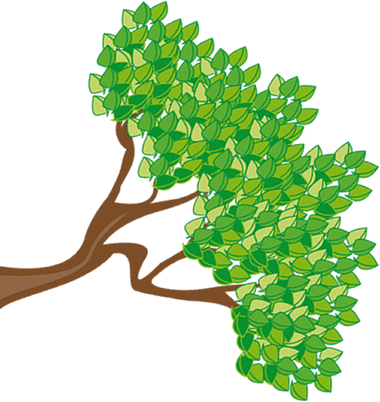 We Strongly Recommend That You Take Out Insurance To - Cartoon Tree With Green Leaves 1 25 Magnet (544x575)