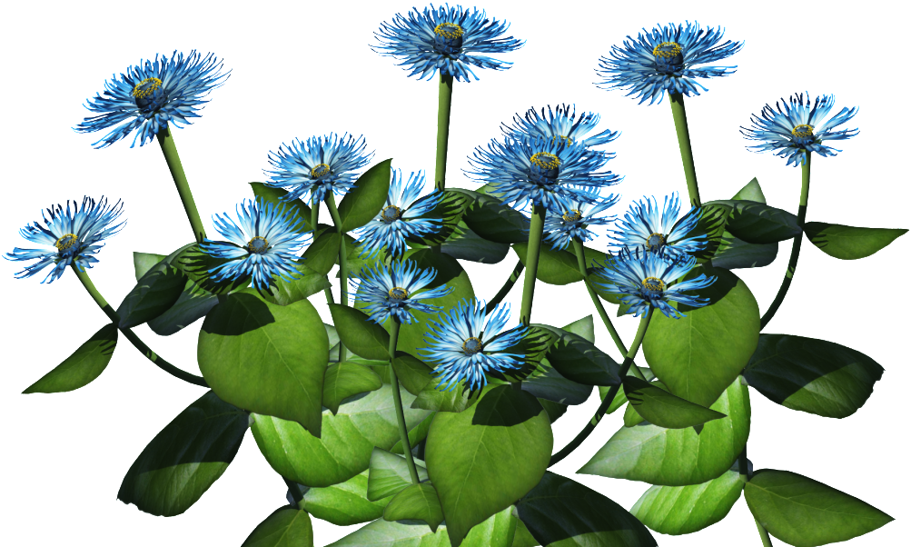 Blue Plant Png - Flower Bush Png Transparent (1023x682)