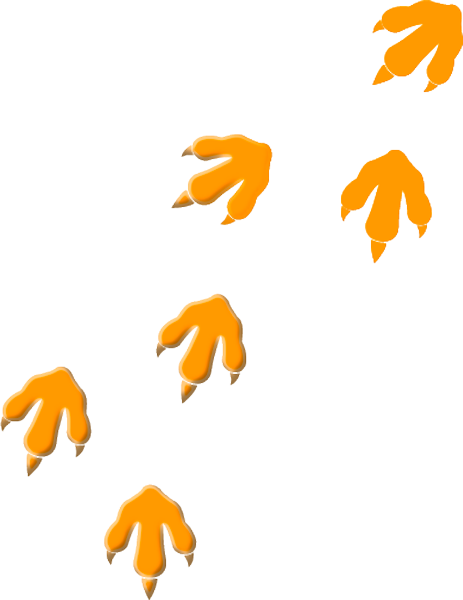 Related Wallpapers - Patinhas De Dinossauros Png (463x600)