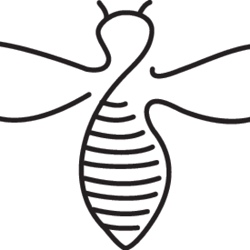 Bee Outline - Outline Of Bee (512x512)