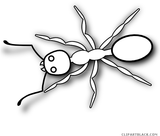 Banner Black And White Stock Ant Clipart Black And - Pencil Drawings Of Ant (555x555)