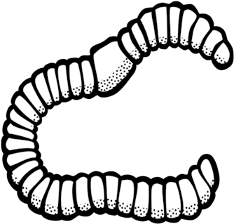 Earthworm Black And White Drawing - Clip Art Black And White Worm (355x340)