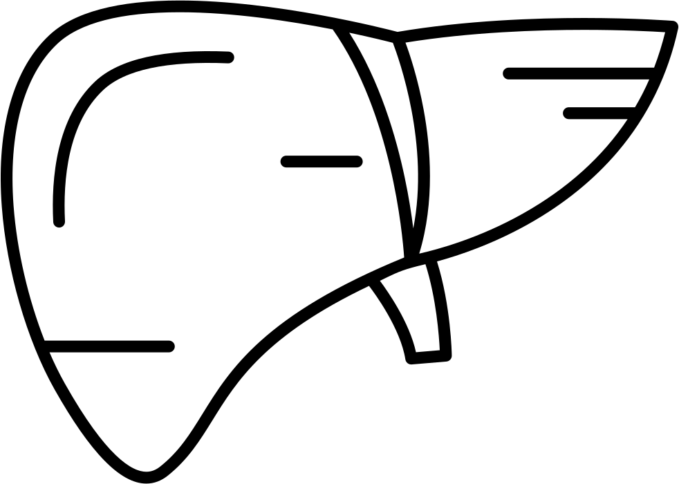 Human Liver Svg Png Icon Free Download - Medicine (982x700)