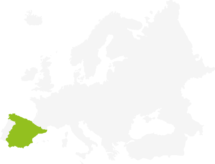 Country - Fifa 18 World Cup Card (733x559)