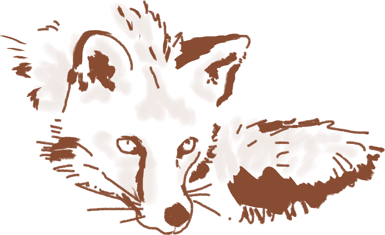 The Fox Is An Omnivore, Just Like The Hedgehog Or The - Illustration (794x485)