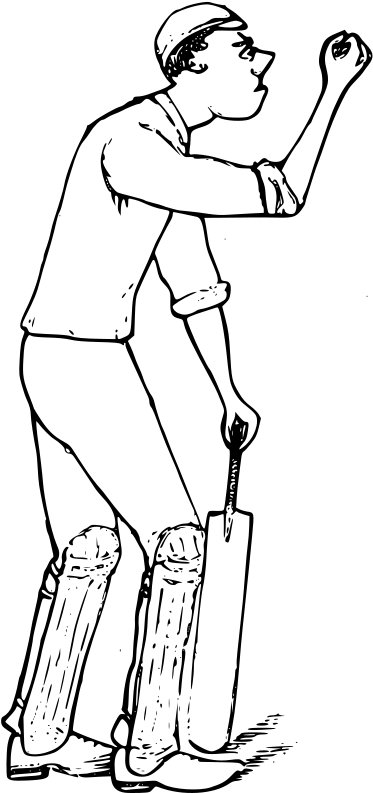 Medium Image - Cricket (376x800)