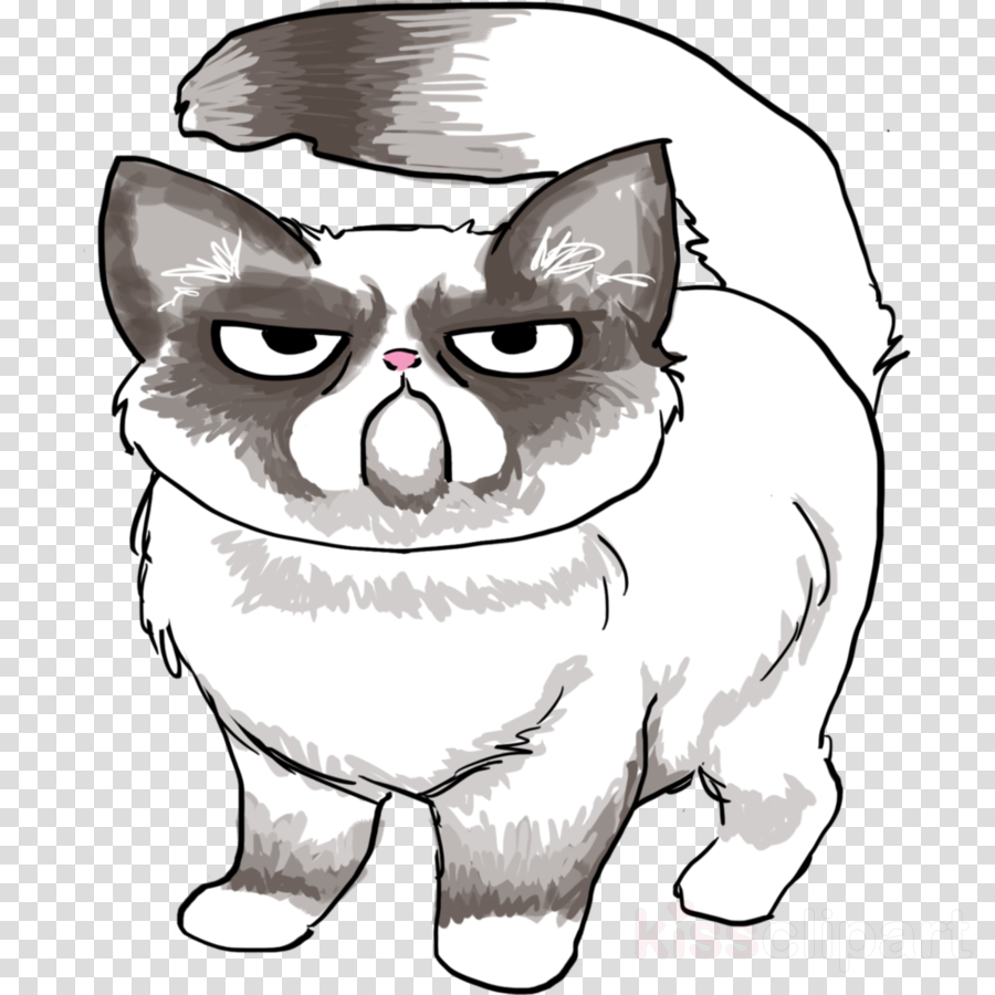 Download Drawing Of Grumpy Cat Clipart Grumpy Cat Drawing - Drawing Of Grumpy Cat (900x900)