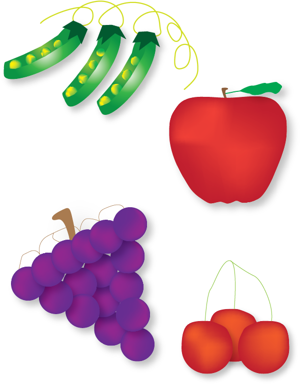 Soybeans < Pdf File - Soybeans < Pdf File (608x770)