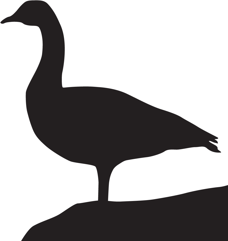 Canada Silhouette At Getdrawings Com Free For - All About Birds (1024x1024)