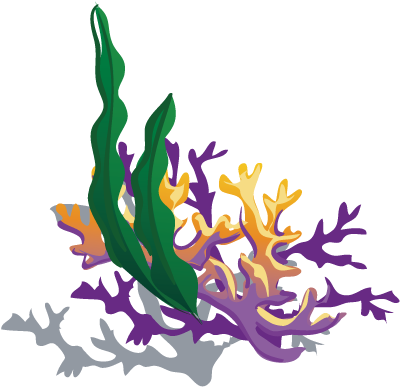Aquatic Plant Marine Biology - Vector Coral Reef Png (500x500)