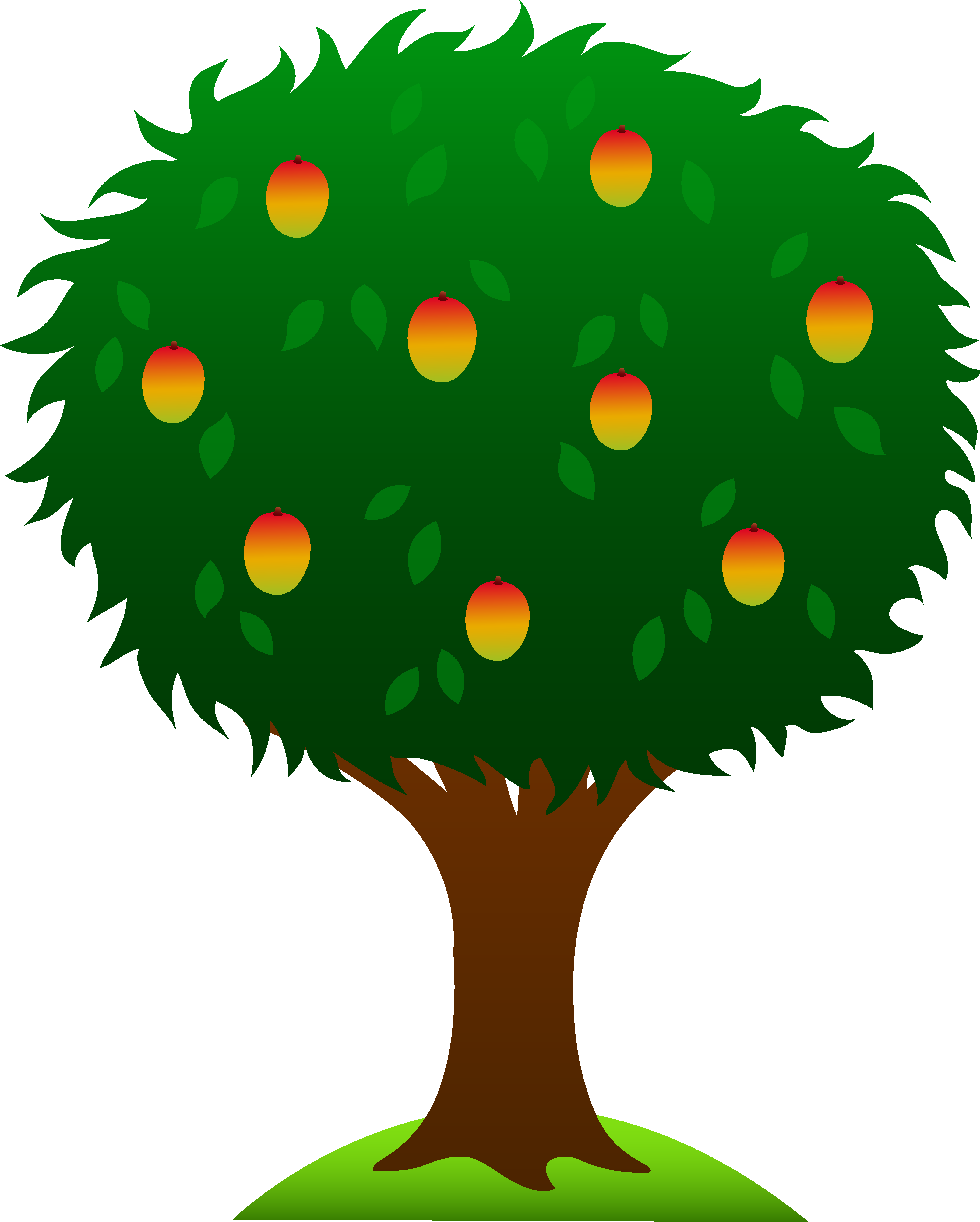 Clipart Of Mango Tree With Ripe Fruits Free Clip Art - Drawing Of Mango Tree (5178x6456)