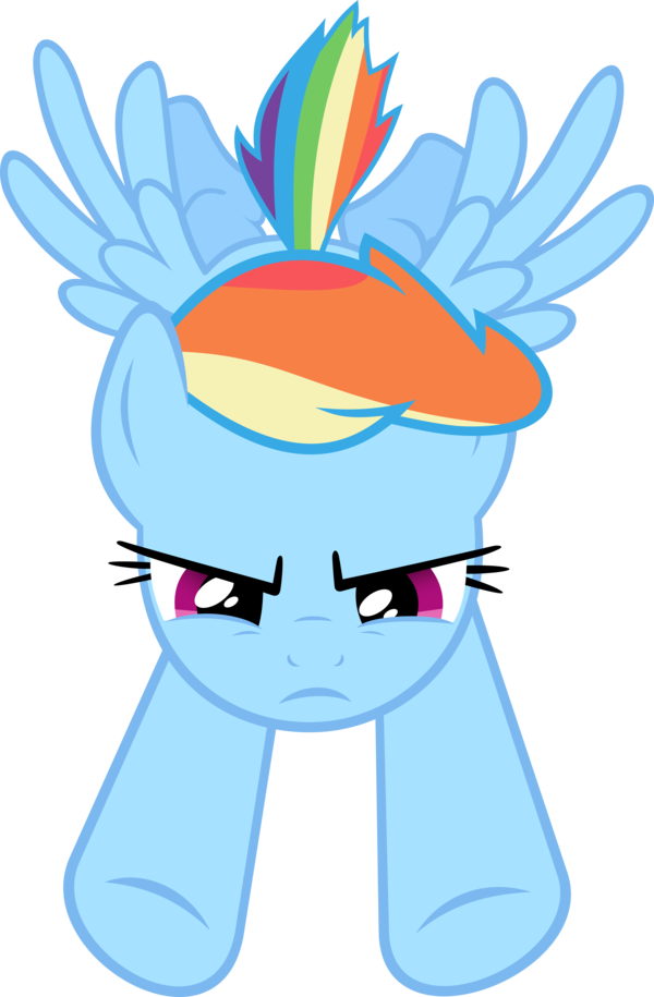 Rainbow Dash Flying By Racefox - Mlp Rainbow Dash Flying Down (600x915)