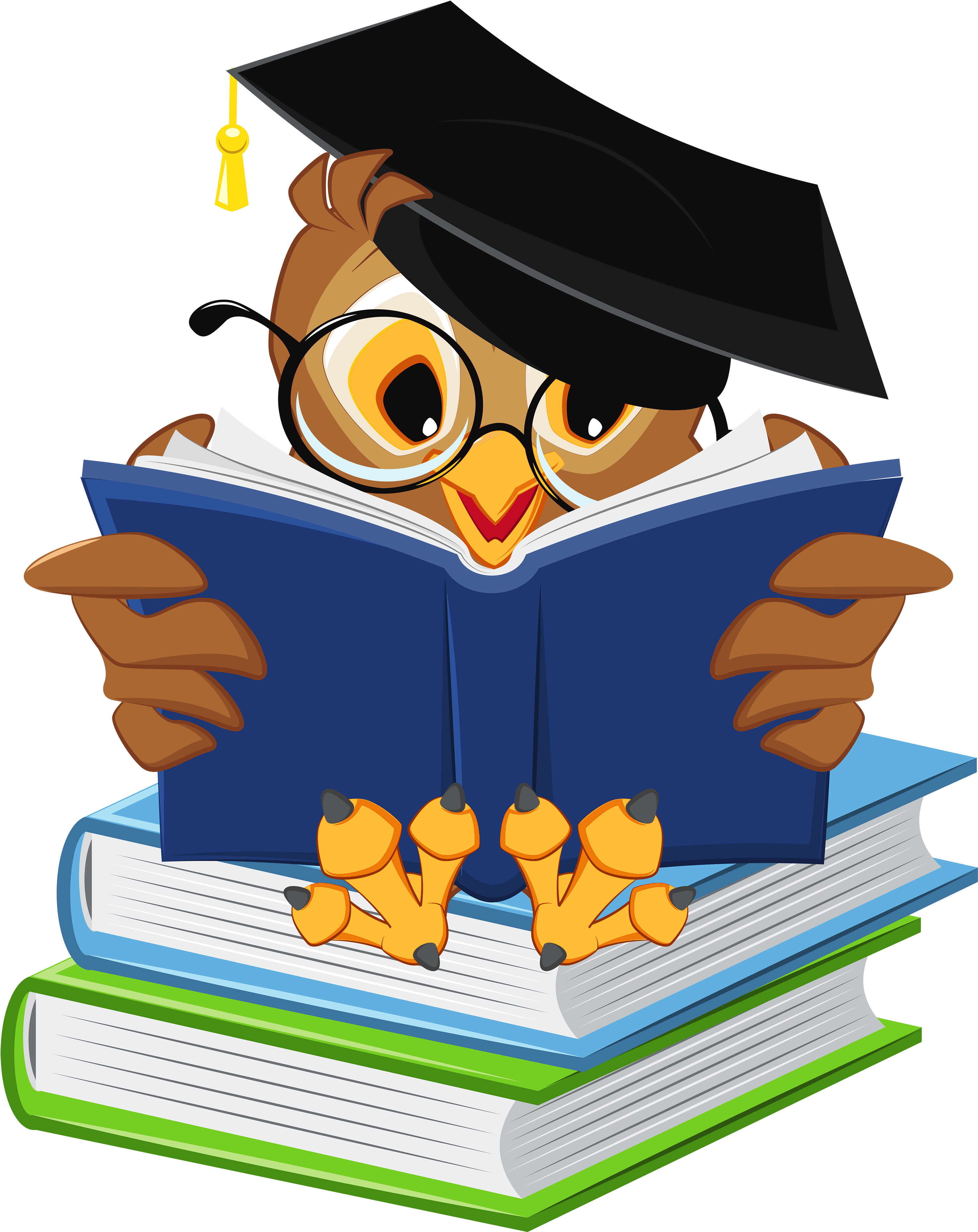 4th Grade Clip Art Medium Size - Owl School (3308x4000)