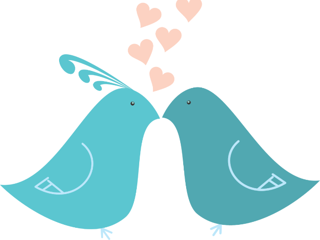 What Is Love- Lesson Plan - Cute Lovebirds Twin Duvet (655x491)
