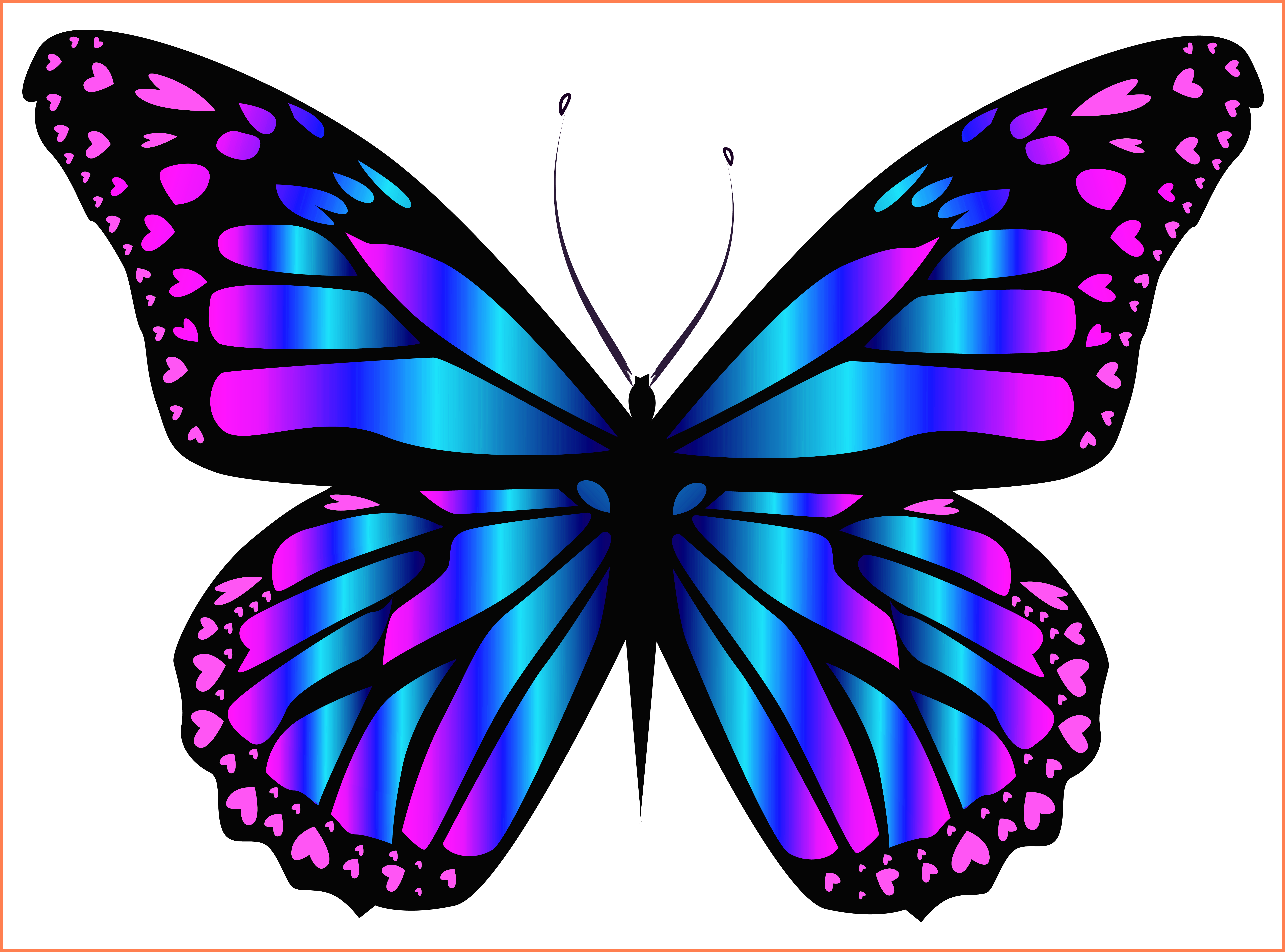 Blue And Purple - Blue And Purple Butterflies - (6377x4727) Png Clipart  Download, image size:6377x4727