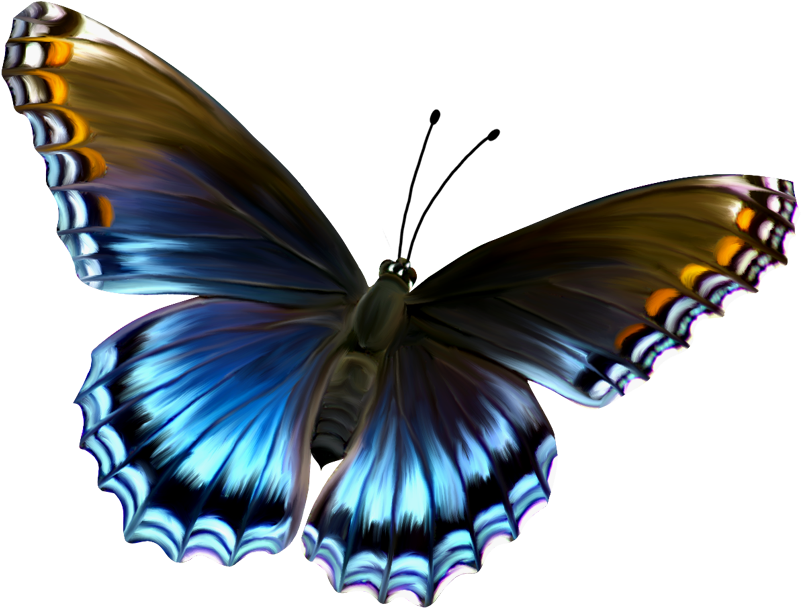 Beautiful Blue And Brown Butterfly Png Clipart - Blue And Brown Butterflies (823x630)