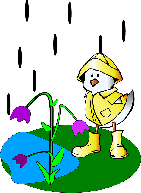 Flower, Cartoon, Wet, Duck, Rain - Wet Clipart (468x640)