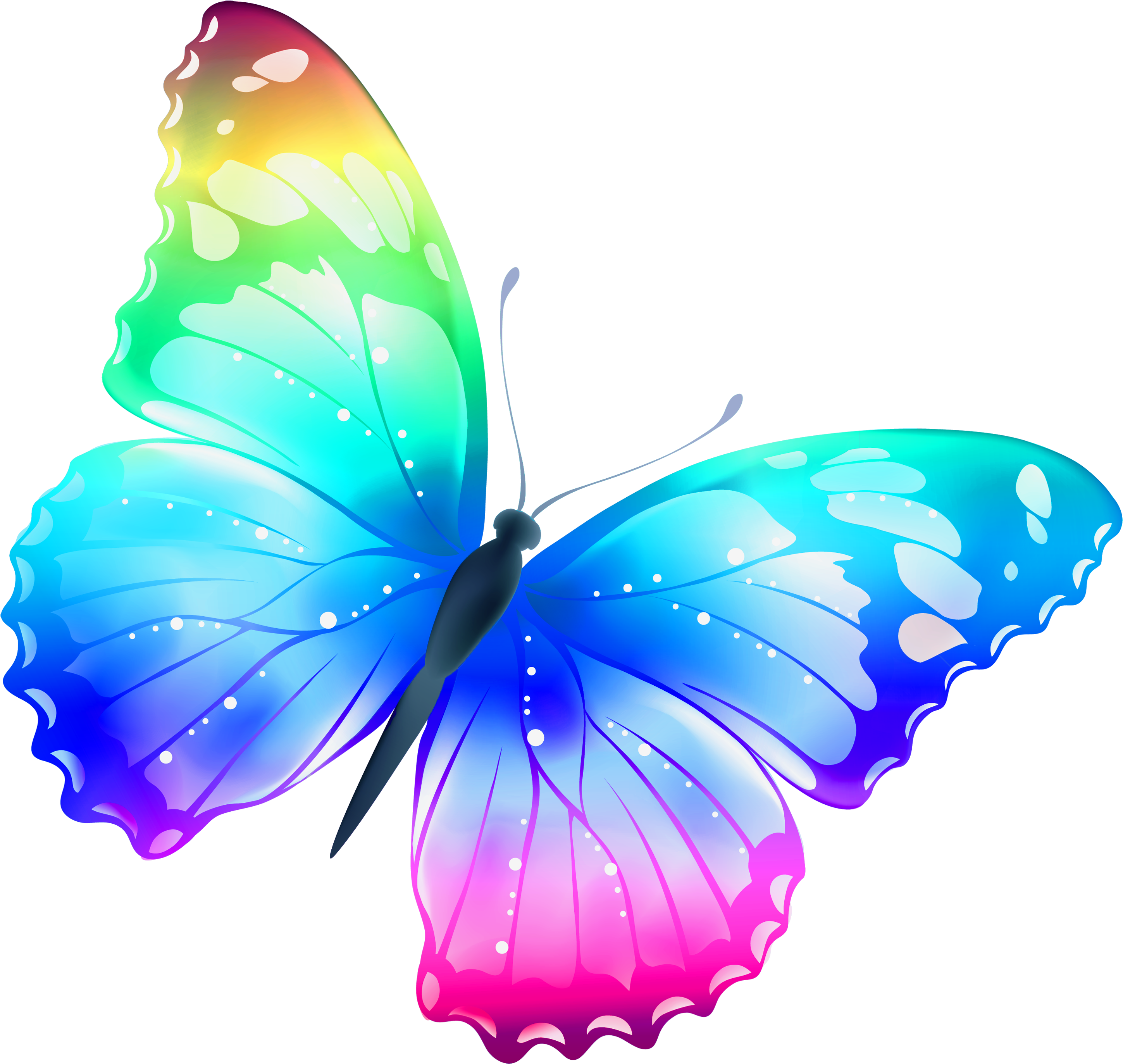 Rainbow Butterfly Greeting Cards (2900x2755)
