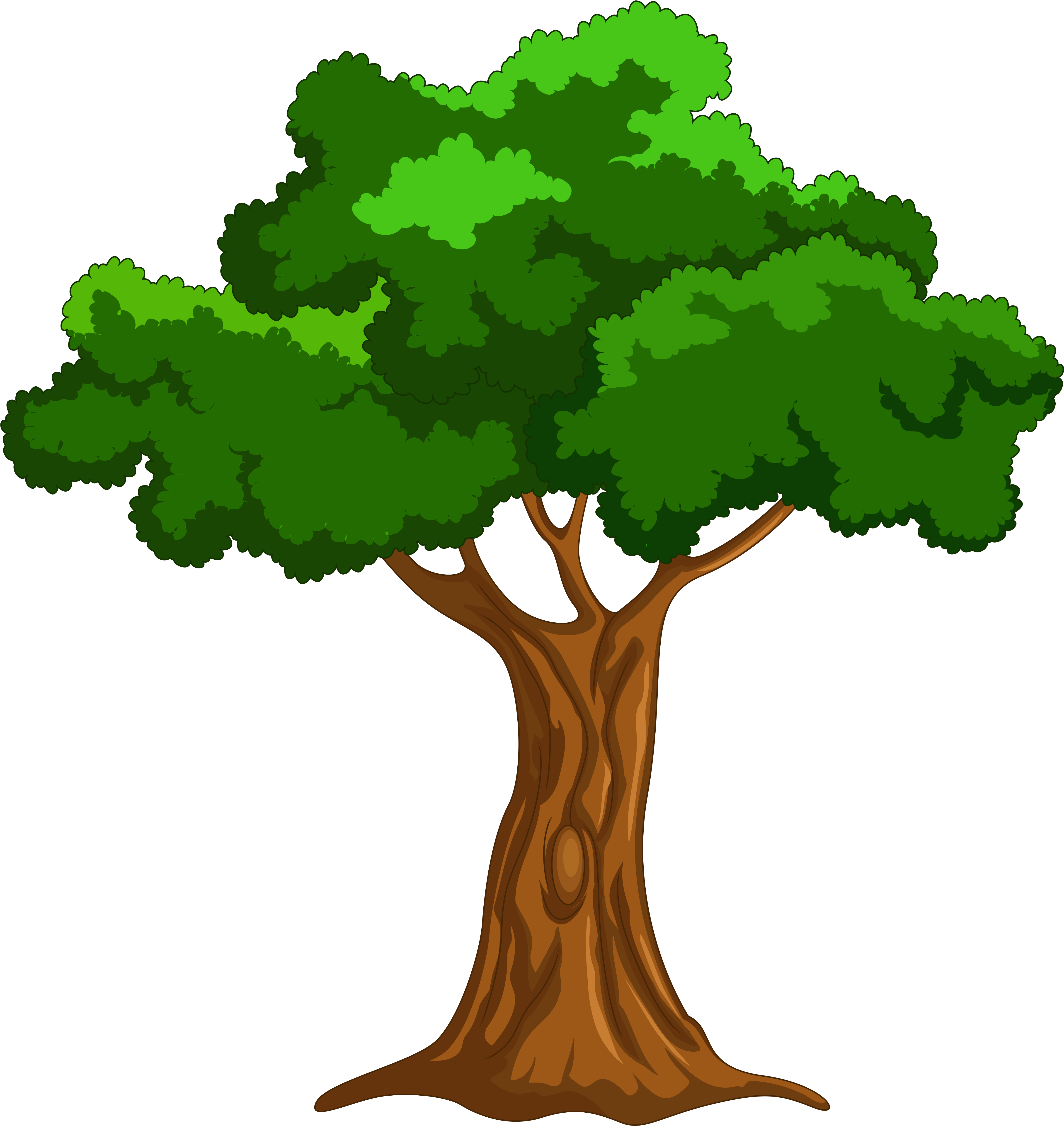 Largest Cartoon Pictures Of A Tree Png Clip Art Best - Cartoon Picture Of Tree (4810x5122)