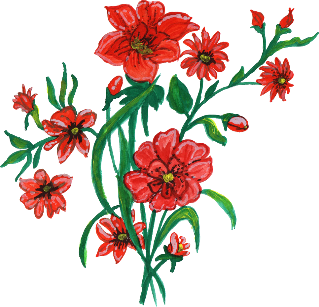 1033 × 995 Px - Gilliflower (1024x986)