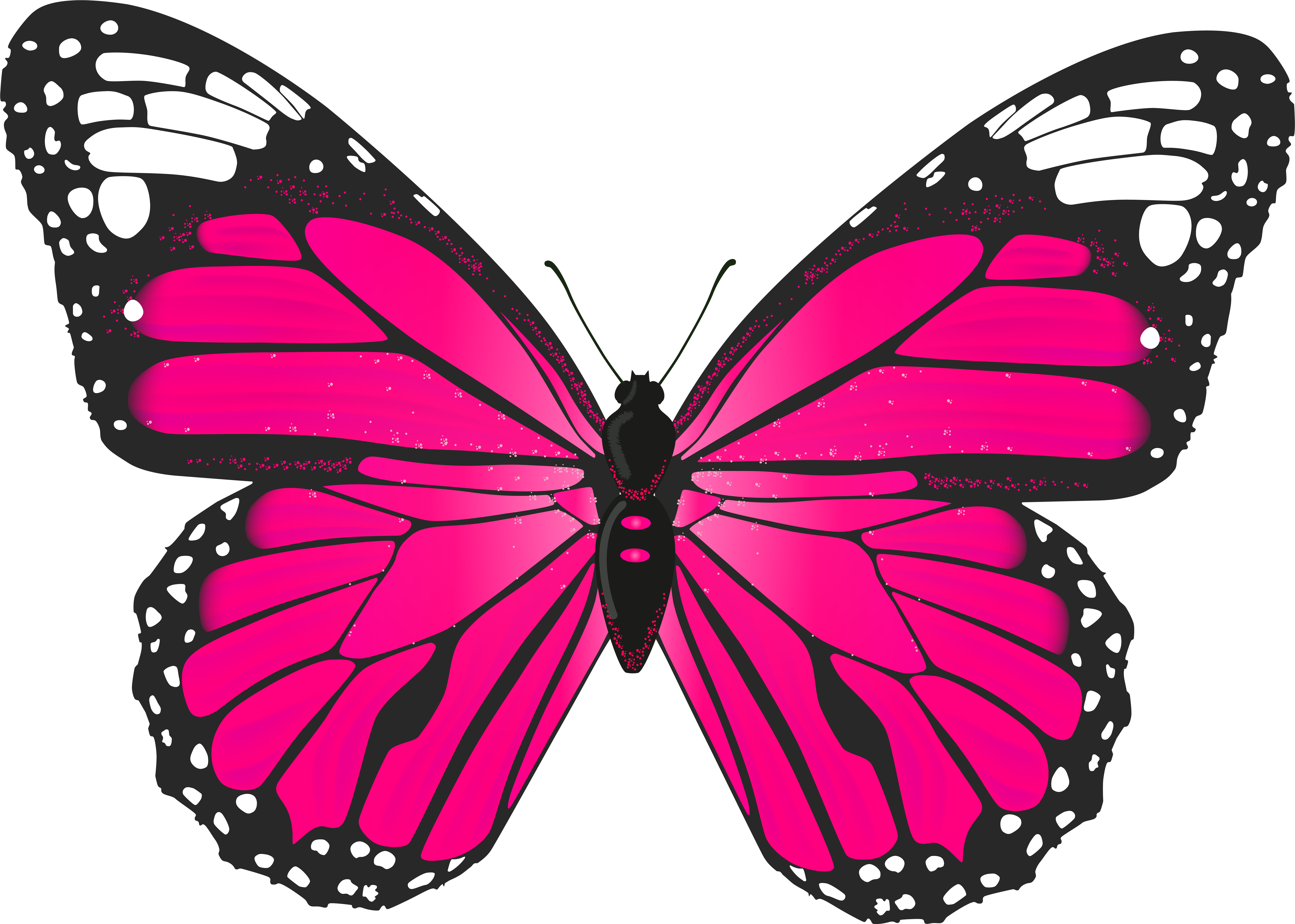 Butterfly Clip Art - Butterfly Pink (8000x5708)