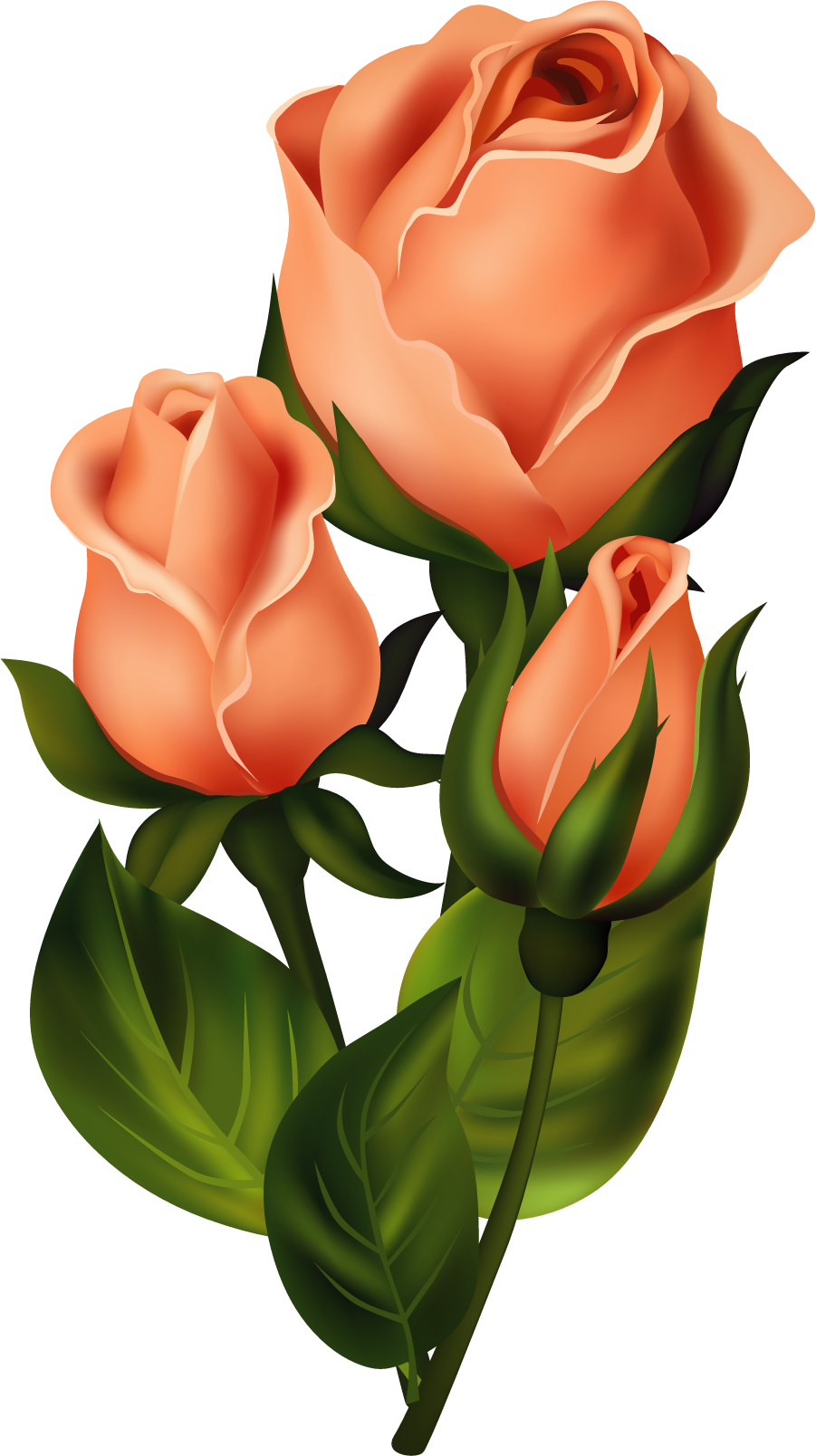 Roses,pink,roze,rosa, - Bom Feriado Para Você (901x1608)