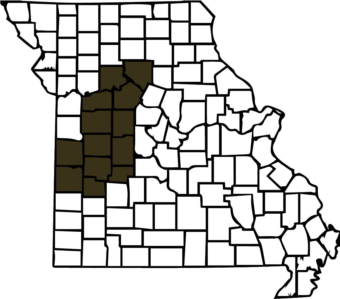 Whether You Are A Job Seeker Looking For Employment - Whether You Are A Job Seeker Looking For Employment (1201x1111)