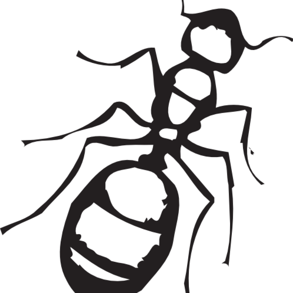 Ant Clipart Black And White Sketch Of An Ant Clip Art - Ant Black And White Clipart (1024x1024)
