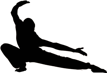 Mikado Martial Arts Supplies - Silhouette (960x400)