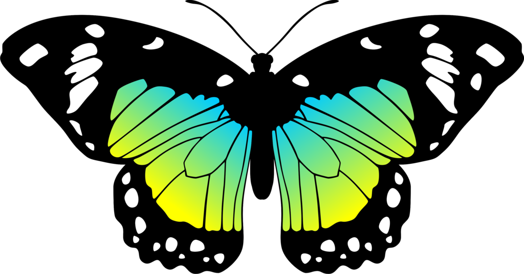 Moves Clipart Real Butterfly - Blue And Yellow Butterflies (1024x537)