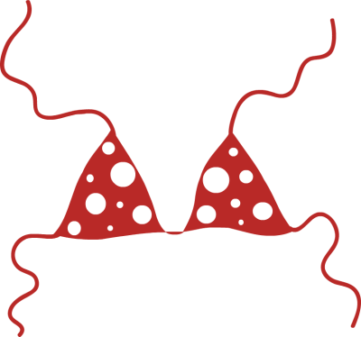 Bikini Clipart Coconut - Cartoon Bikini Top Transparent (400x374)