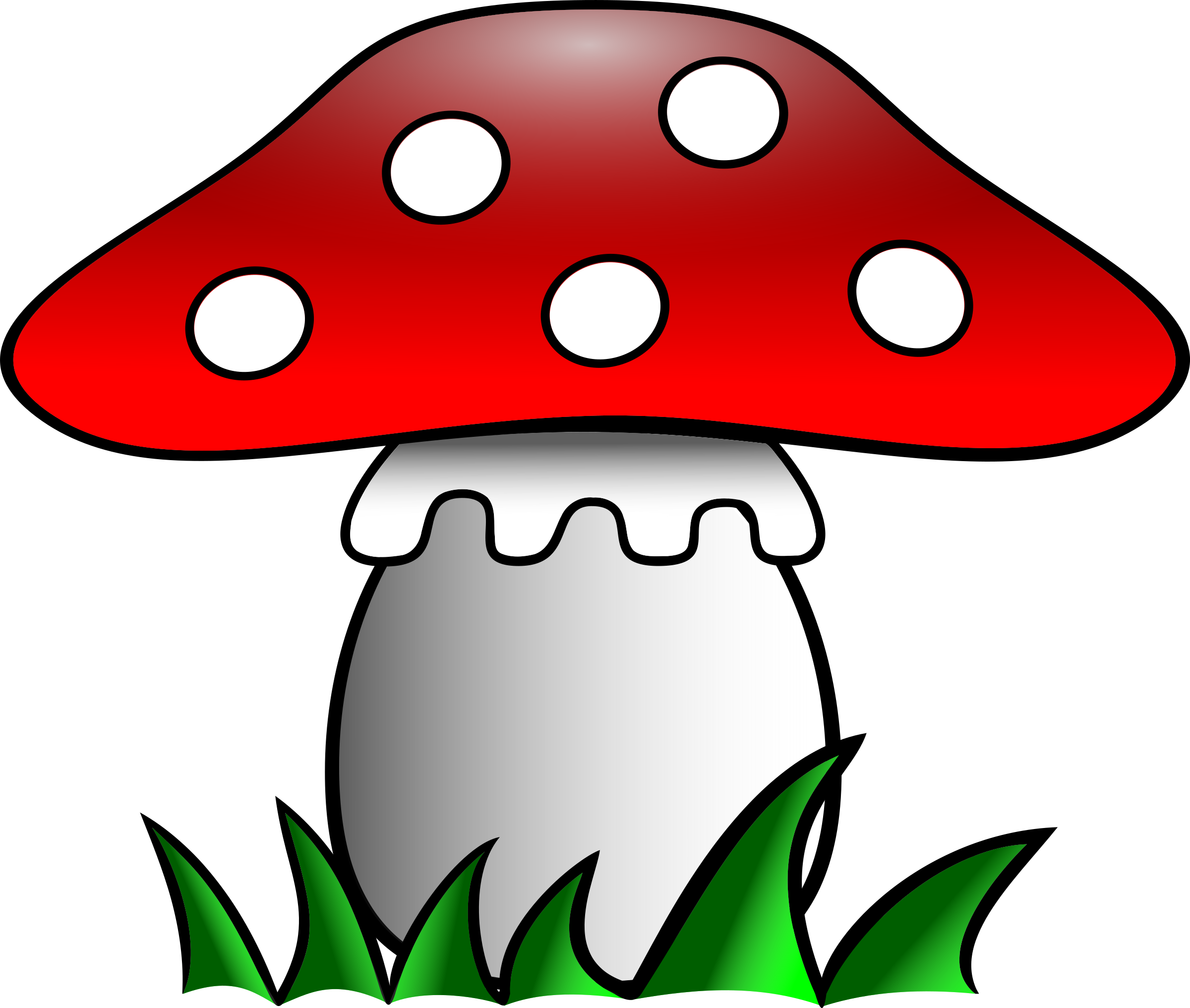 Саңырауқұлақ суреті