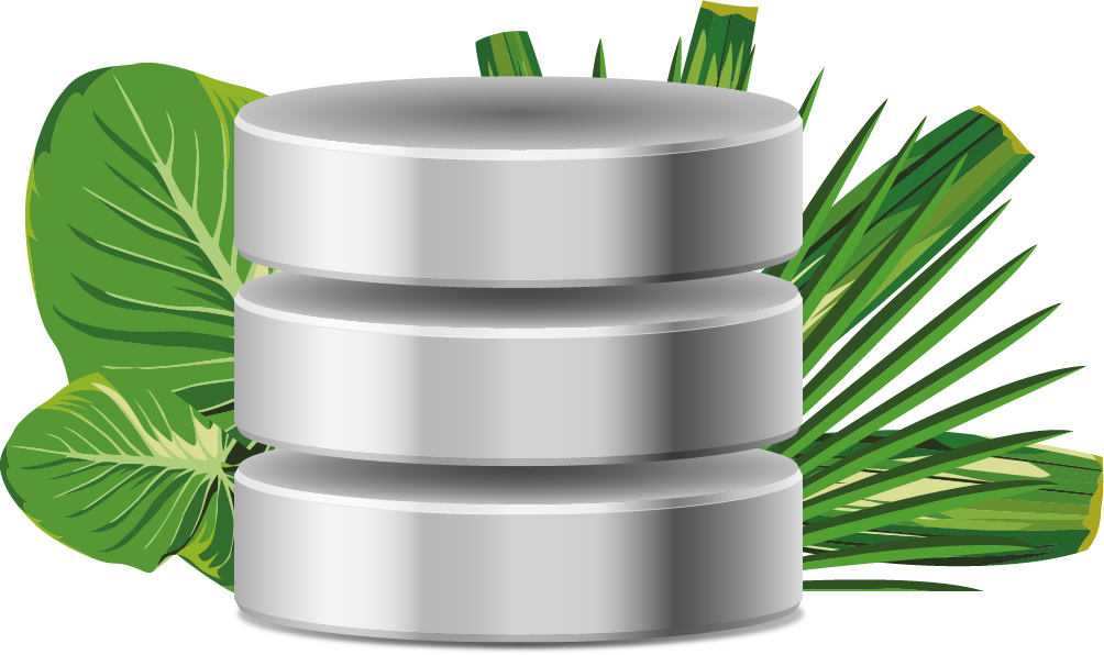 Databases - Christmas Tree (1004x596)