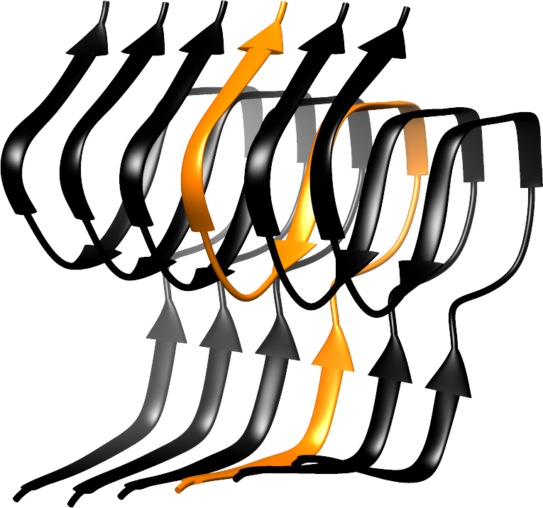 Amyloid Structure - Database (765x716)