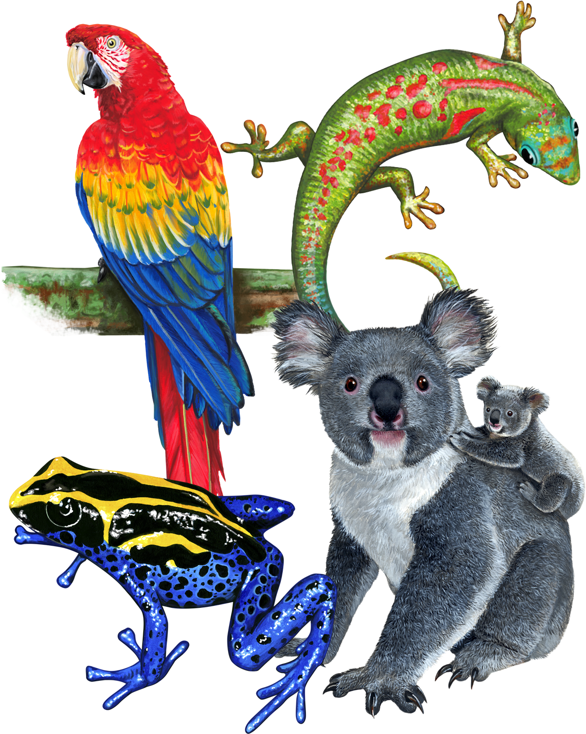 When You Subscribe To Great Dane Graphics' Stock Art - Tropical Tree Frog Blue Yellow And Black Spare Tire (1200x1500)